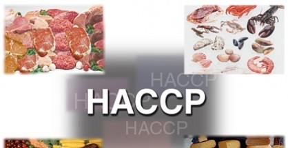 Lễ đón nhận chứng chỉ ISO 22000:2005, HACCP & GMP - C.P. Bến Tre ...
