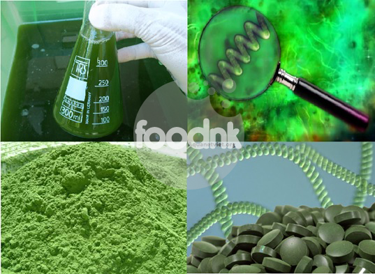 Thực phẩm chức năng tảo spirulina