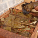 hieu-nhanh-quy-trinh-che-bien-hat-ca-cao-thanh-chocolate-2-min