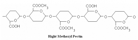 Pectin là một polysaccharide tồn tại phổ biến trong thực vật, là thành phần tham gia xây dựng cấu trúc tế bào thực vật. Nhiều ứng dụng trong