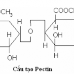 pectin-va-cac-ung-dung-2-min
