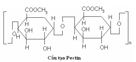 Pectin là một polysaccharide tồn tại phổ biến trong thực vật, là thành phần tham gia xây dựng cấu trúc tế bào thực vật. Nhiều ứng dụng trong