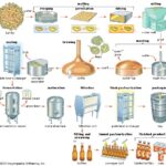 quy-trinh-san-xuat-bia-min