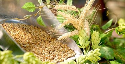 Tác dụng của bia đối với sức khỏe