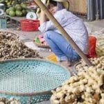 gung trung quoc