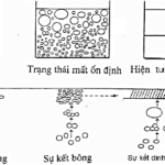 khai-niem-nhu-tuong-thuc-pham-va-phan-loai-1-min