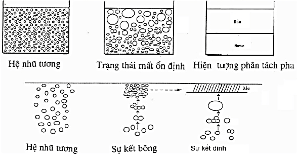 Nhũ tương là một hệ phân tán cao của hai hay nhiều chất lỏng (vd dầu hoặc nước) không trộn lẫn vào nhau, những giọt nhỏ của pha bị hoà lẫn