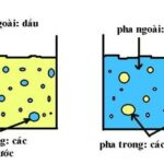 khai-niem-nhu-tuong-thuc-pham-va-phan-loai-3-min