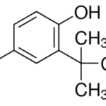 phu-gia-chong-oxy-hoa-tbhq-tert-butyl-hydroquinone-min