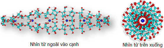 Alginate là một loại phụ gia thực phẩm trong nhóm phụ gia hỗ trợ tạo cấu trúc, có độ nhớt cao. Nó được ứng dụng khá nhiều trong thực phẩm và