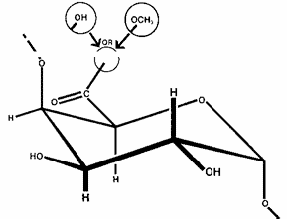 Pectin là một polymer của các acid polygalacturonic và các este methyl của chúng, có chức năng tạo gel. Pectin có nhiều ở quả, củ hoặc thân