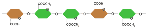 Pectin là một polymer của các acid polygalacturonic và các este methyl của chúng, có chức năng tạo gel. Pectin có nhiều ở quả, củ hoặc thân