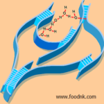 phu-gia-lam-day-lam-dac-pectin-6-min
