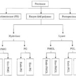 phu-gia-pectin-protopectin-enzyme-pectinase-va-ung-dung-1-min