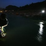 san-ca-la-tren-dong-nam-kim-2