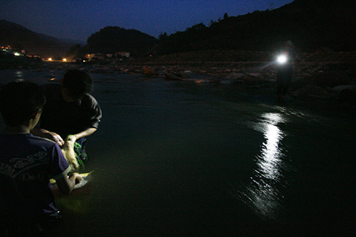 Công việc săn cá diễn ra vào ban đêm