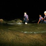 san-ca-la-tren-dong-nam-kim-4