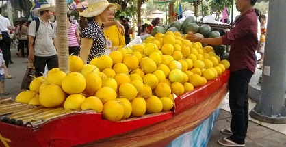 Hơn 1.000 tấn trái cây cùng nhiều sản phẩm tạo hình độc đáo từ củ quả, do các nhà nông tạo nên đã hội tụ tại Lễ hội trái cây Nam bộ. 