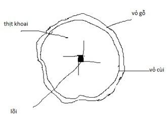 Khoai mì hay củ sắn là một loại nông sản dường như rất phổ biến ở Việt Nam, chúng dễ sống, dễ trồng và rất ít công chăm sóc nhưng mang