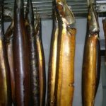 Ca hun khoi co so ly thuyet