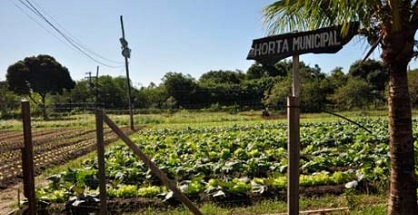 Brazil phát triển “siêu thực phẩm” chống suy dinh dưỡng