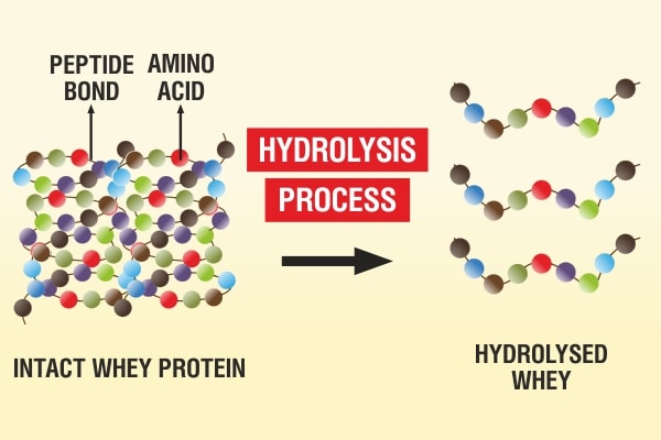 Các phương pháp thủy phân protein trong công nghệ thực phẩm bao gồm: thủy phân bằng hóa học (acid, kiềm), thủy phân bằng sinh học