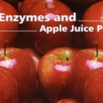 enzyme thuy phan