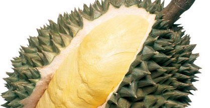 Sản xuất rượu vang sầu riêng tại Singapore