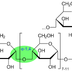 tim-hieu-ve-enzyme-thuy-phan-trong-cong-nghe-thuc-pham-min