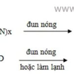tim-hieu-ve-gel-protein-va-co-che-tao-gel