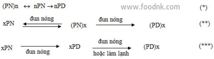 Gel protein có vai trò đặc biệt quan trọng trong ngành công nghiệp thực phẩm, đặc biệt là trong việc tạo cấu trúc của các sản phẩm