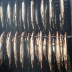 tim-hieu-ve-qua-trinh-hun-khoi-trong-che-bien-ca-hun-khoi-1-min