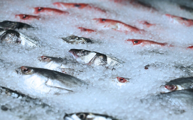 Các biến đổi của thực phẩm trong kho bảo quản lạnh diễn ra như thế nào?