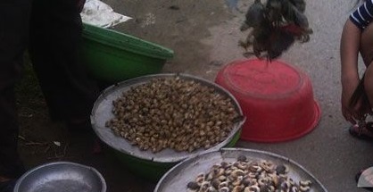 Cua ghẹ 25.000 đồng/kg bán tràn lan trên vỉa hè Sài Gòn