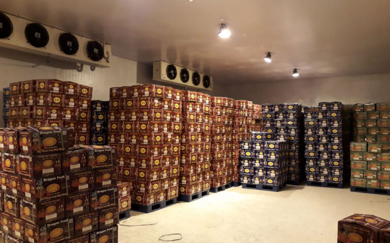 Tìm hiểu về kho bảo quản lạnh trong công nghệ thực phẩm