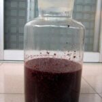 hai-mon-ngon-khong-the-bo-qua-tu-dau-tam-3-min