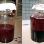 hai-mon-ngon-khong-the-bo-qua-tu-dau-tam-4-min