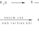 bien-doi-protid-do-cac-phan-ung-va-enzyme-1-min