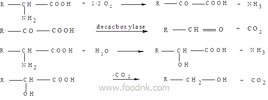 Phản ứng thủy phân protein là cơ sở kỹ thuật của nhiều quá trình chế biến thực phẩm. Sản phẩm của sự biến đổi là acid amine. Xúc tác: enzyme