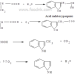 bien-doi-protid-do-cac-phan-ung-va-enzyme-5-min