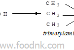bien-doi-protid-do-cac-phan-ung-va-enzyme-6-min