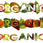 thuc-pham-huu-co-va-van-de-dinh-duong-min