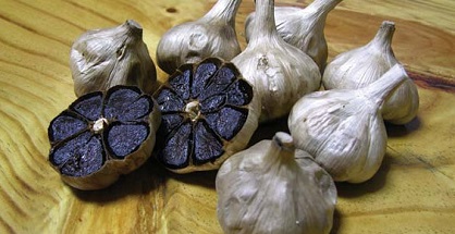 Nghiên cứu lên men tỏi đen từ giống tỏi quý Lý Sơn