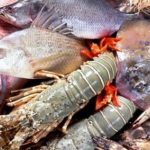 vai tro dinh duong cua protid