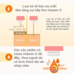 10-dieu-ve-vitamin-c-ma-ban-nen-biet-infographic-min