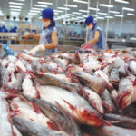 khai-niem-nhiem-cheo-trong-che-bien-thuc-pham