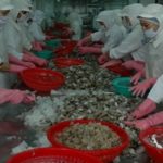 nhiem cheo trong che bien thuc pham