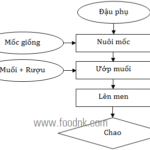 tong-quan-ve-chao-va-quy-trinh-san-xuat-chao-cong-nghiep-min