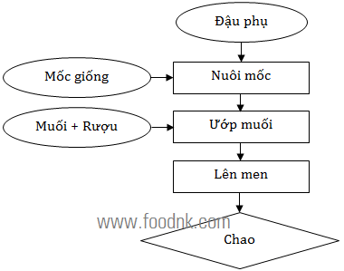 Chao là một sản phẩm được sản xuất bằng cách lên men sữa đậu nành đông đặc do vi sinh vật (mốc) tiết ra enzyme để chuyển hóa thành phần đạm