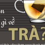 tim hieu ve tra infographic